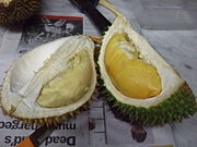 Different cultivars of durian often have distinct colours. D101 (right) has rich yellow flesh, clearly distinguishable from an unrelated variety (left).