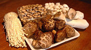 Asian mushrooms, clockwise from left, enokitake, buna-shimeji, bunapi-shimeji, king oyster mushroom and shiitake.