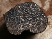 Black Périgord Truffle (Tuber melanosporum), cut in half.