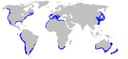 Range (in blue)