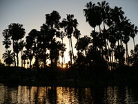 Echo Park as seen with Palm Trees