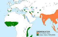 The actual and hypothesized cultivation of rice (areas shown in green) in the Old World (both Muslim and non-Muslim regions) during Islamic times (700-1500). Cultivation of rice during pre-Islamic times have been shown in orange.