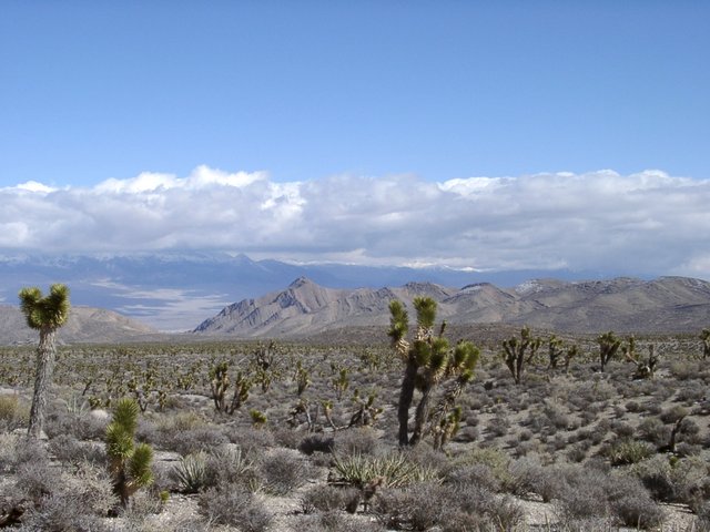 Image:Lasvegasclimate.jpg