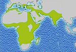 Distribution of malaria shown in green