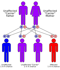 Sickle-cell disease is inherited in the autosomal recessive pattern.