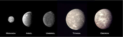 Major moons of Uranus compared, at their proper relative sizes (montage of Voyager 2 photographs)