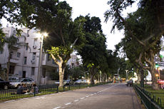 Evening scene at Rothschild Boulevard, one of Tel Aviv's historic streets