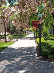 A springtime view of the University of Minnesota, Twin Cities campus