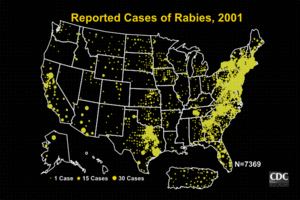 Cases of animal rabies in the United States in 2001