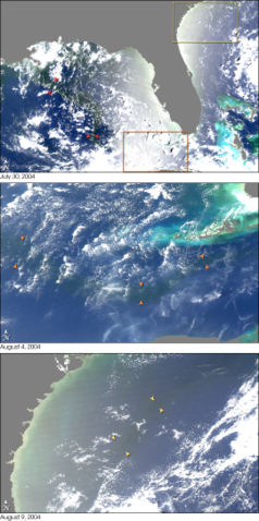 Image:MississippiRiver GulfMex MODIS 2004jul-aug.jpg