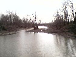 View along the former riverbed at the TN/AR state line near Reverie, TN (2007)