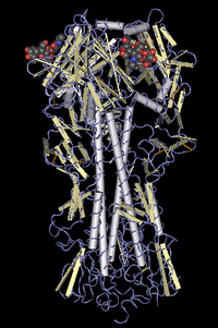 The H in H5N1 stands for "Hemagglutinin", as depicted in this molecular model.