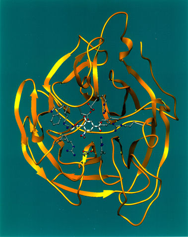 Image:Neuraminidase Ribbon Diagram.jpg