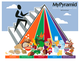 The updated USDA food pyramid, published in 2005, is a general nutrition guide for recommended food consumption.