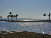 Euphrates River in Iraq.