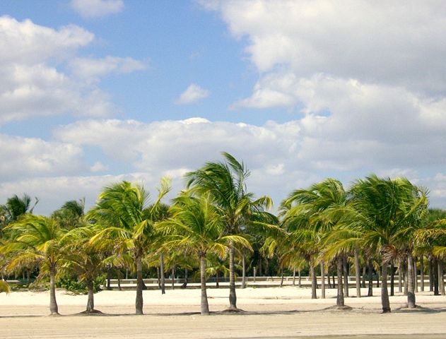 Image:Crandon Park Modified.jpg