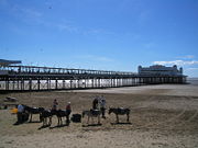 The Grand Pier (whose pavilion was destroyed in a fire in 2008) and beach at low tide.