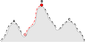 In population genetics the evolution of a population of organisms is sometimes depicted as if travelling on a fitness landscape. The arrows indicate the preferred flow of a population on the landscape, and the points A, B, and C are local optima. The red ball indicates a population that moves from a very low fitness value to the top of a peak.