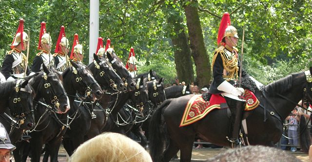 Image:Troopingthecolour.jpg