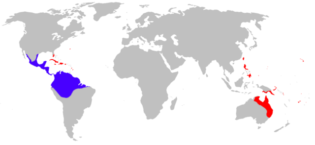 Image:Bufo marinus distribution.png