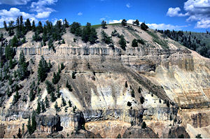Columnar basalt flows of the Columbia River Basalt in Yellowstone National Park