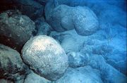 Pillow basalts on the south Pacific seafloor