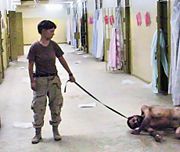 U.S. Army Private Lynndie England holding a leash attached to a prisoner collapsed on the floor in the Abu Ghraib prison