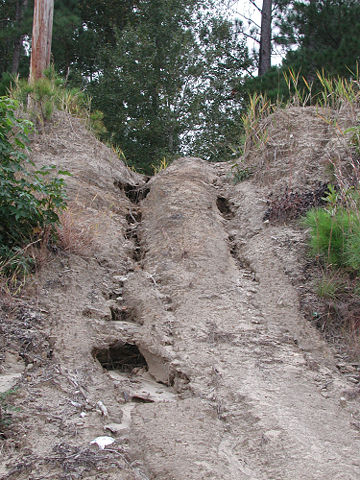 Image:Bank erosion 5790.JPG