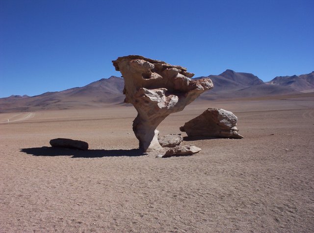 Image:Im Salar de Uyuni.jpg