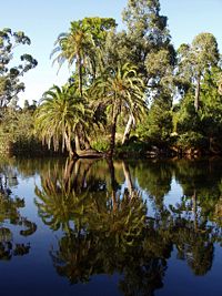 Melbourne's Royal Botanic Gardens.