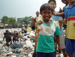 Rubbish picking is a common livelihood strategy for people living in poverty around the world, with many communities growing around garbage dumps, as shown here in East Cipinang, Jakarta, Indonesia.