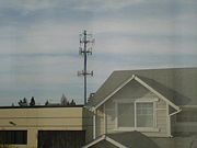 Cell Phone tower located in Lynnwood, WA.