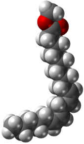 Space-filling model of Methyl Linoleate, or Linoleic Acid Methyl Ester, a common Methyl Ester produced from Soybean or Canola oil and Methanol.
