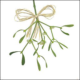 A Little Mistletoe