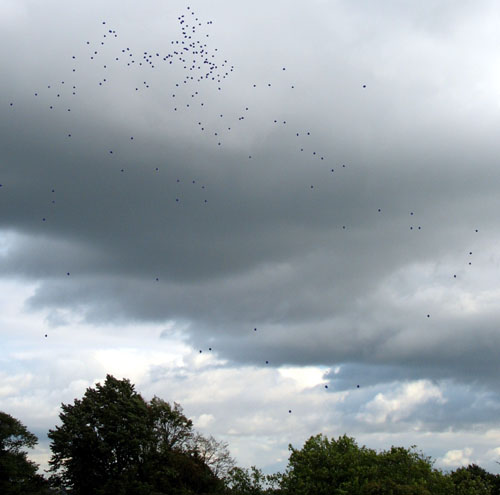 WOW Cambridge balloon launch