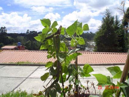 SOS Children, Colombia