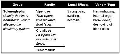 Figure E-2. Clinical Effects of Snakebites