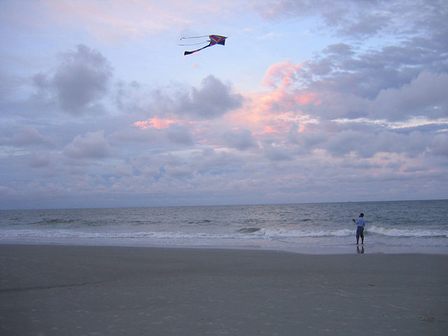 Image:Man flying kite.jpg