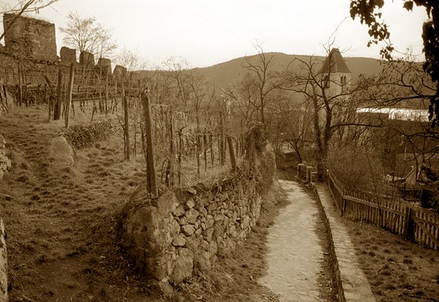 Image:Castle Ruins and Vineyard - Durnstein - Wachau Valley - Austria - image by Scott Williams.jpg