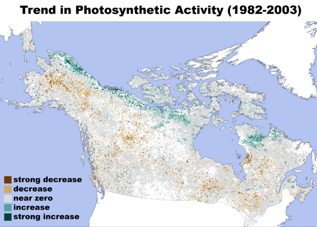 Image:Northern Forest Trend in Photosynthetic Activity.gif