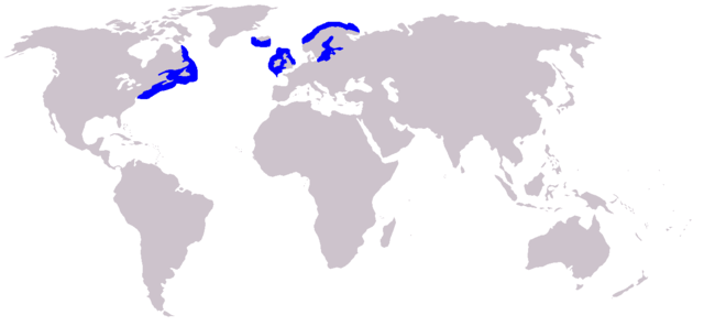 Image:Distribution of the grey seal.png