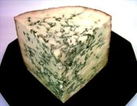 Stilton cheese contains edible mold.