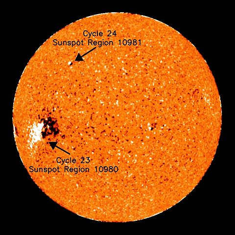 Image:Sunspot 10981 Solar Cycle 24.jpg