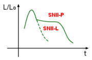 This graph of the luminosity (relative to the Sun) as a function of time shows the characteristic shapes of the light curves for a Type II-L and II-P supernova.