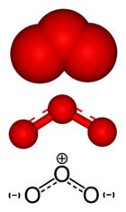 Ozone is a rare gas on Earth found mostly in the stratosphere.