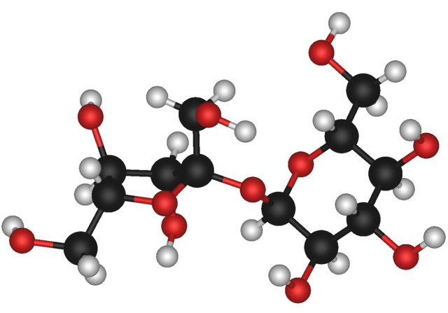 Image:Sucrose molecule 3d model.png