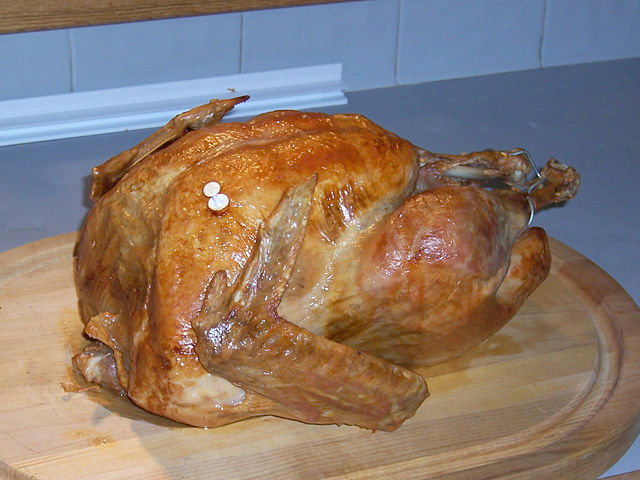 Image:Thanksgiving Turkey.jpg