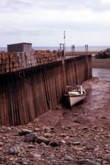 The Bay of Fundy  at low water