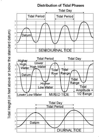 Image:Tide type.gif