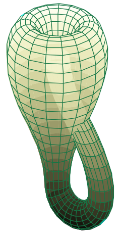 The Klein bottle immersed in three-dimensional space.